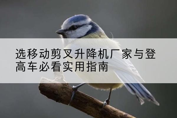 长顺电动升降机厂家-选移动剪叉升降机厂家与登高车必看实用指南