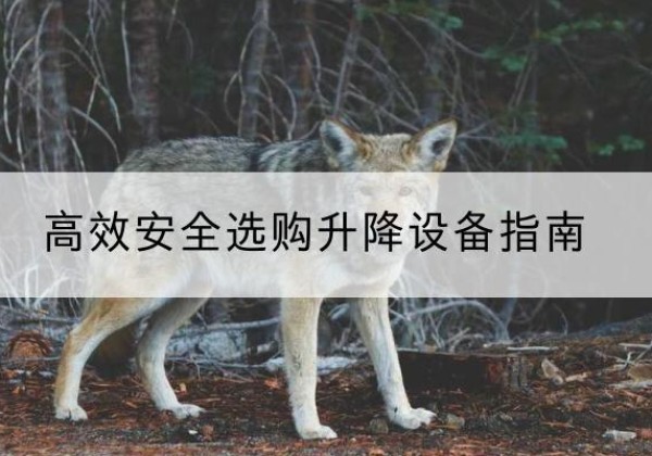 长顺升降货梯厂家推荐-*安全选购升降设备指南