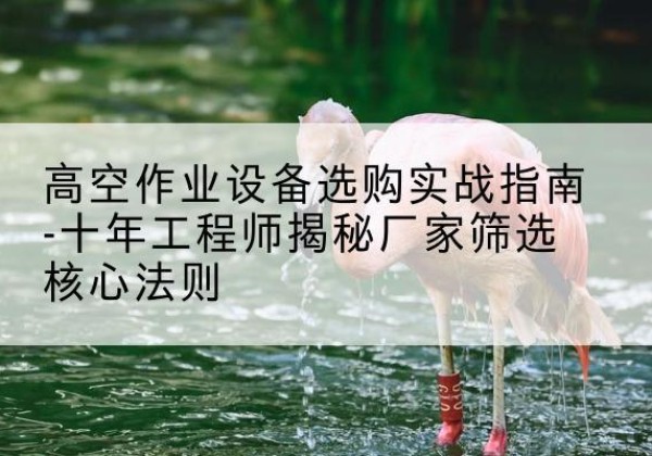 长顺剪叉式升降机厂家-高空作业设备选购实战指南-十年工程师揭秘厂家筛选核心法则
